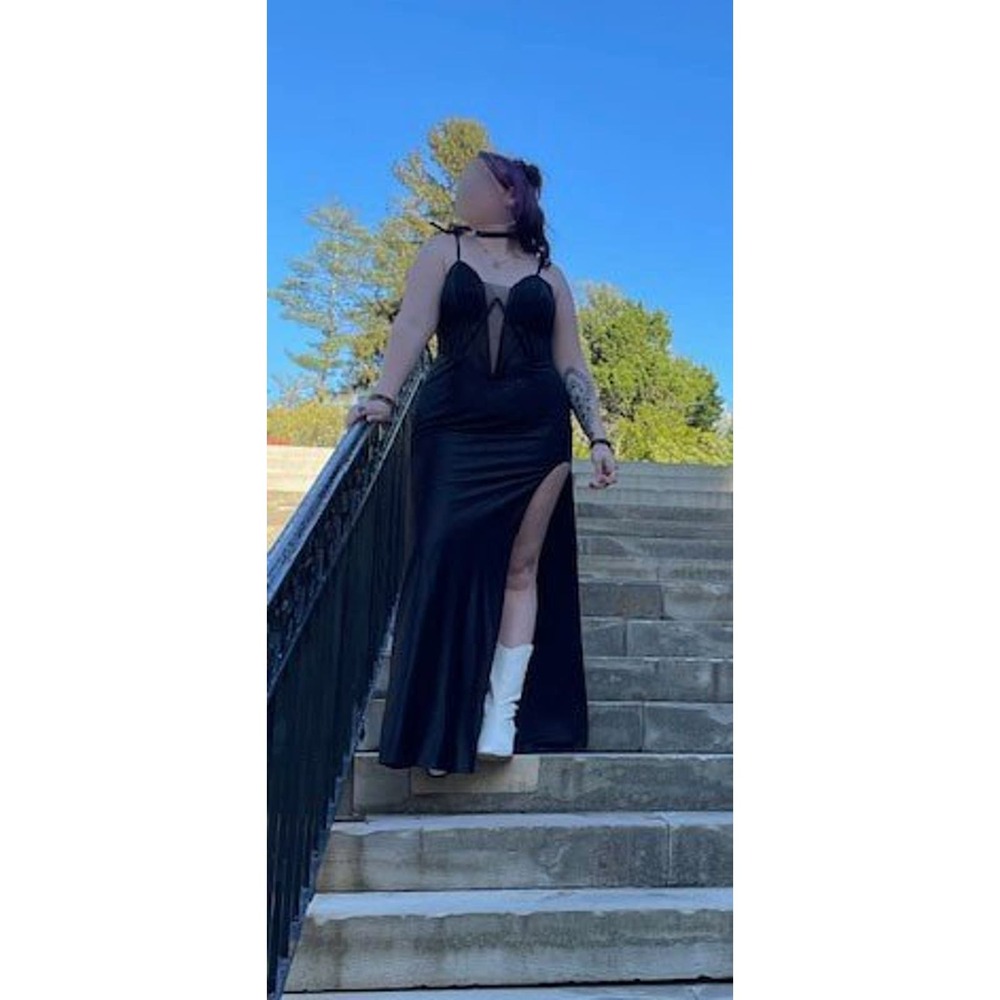 Windsor Formal or Prom Dress Size 14 - Picture 6 of 6